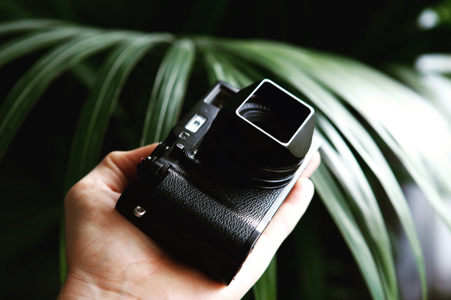 Mk II (X100 Series)